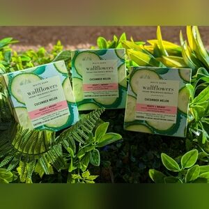 CUCUMBER MELON Wallflowers 3 Packs Of 2 Total 6 Bulbs